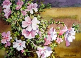 Olga Zakharova Art - Floral - Flowers on the Scene 1