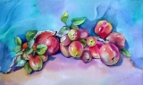 Olga Zakharova Art - Still Life - Crowning Apples
