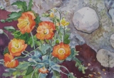 Olga Zakharova Art - Floral - Flowers on the Scene 2