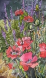 Olga Zakharova Art - Floral - Red Poppies