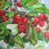 Olga Zakharova Art - Floral - Cherries