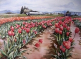 Olga Zakharova Art - Landscape - Tulips Festival