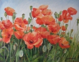Olga Zakharova Art - Floral - Poppies Field