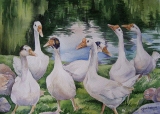 Olga Zakharova Art - Animals - Geese