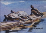 Olga Zakharova Art - Animals - Turtle Trio