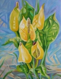 Olga Zakharova Art - Floral - Skunk Cabbage