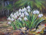 Olga Zakharova Art - Floral - Spring Flowers