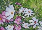 Olga Zakharova Art - Floral - Daisies