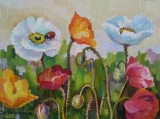 Olga Zakharova Art - Miniature - Ladybug on Poppies