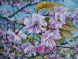 Olga Zakharova Art - Miniature - Spring Blooming