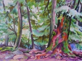 Olga Zakharova Art - Miniature - Lynn Valley 