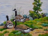 Olga Zakharova Art - Animals - Canadian Gooses