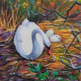 Olga Zakharova Art - Animals - Swan's Nest