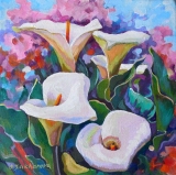 Olga Zakharova Art - Floral - CallaLily