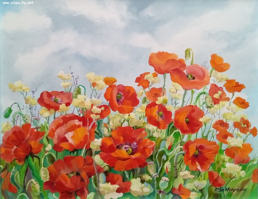 Red Poppies Fild