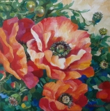 Olga Zakharova Art - Floral - Red Poppies