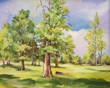 Olga Zakharova Art - Landscape - Sunny day