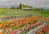 Olga Zakharova Art - Greeting Card - Tulip Fild