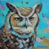 Olga Zakharova Art - Animals - Owl Look