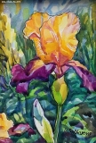 Olga Zakharova Art - Miniature - One Iris