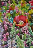 Olga Zakharova Art - Floral - Tulip Festival