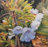 Olga Zakharova Art - Floral - Blooming Cherry