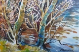 Olga Zakharova Art - Greeting Card - Trees Above Lake
