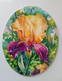 Olga Zakharova Art - Floral - Iris