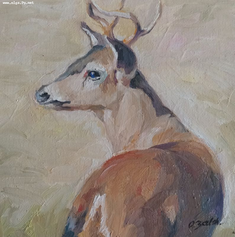 The Deer