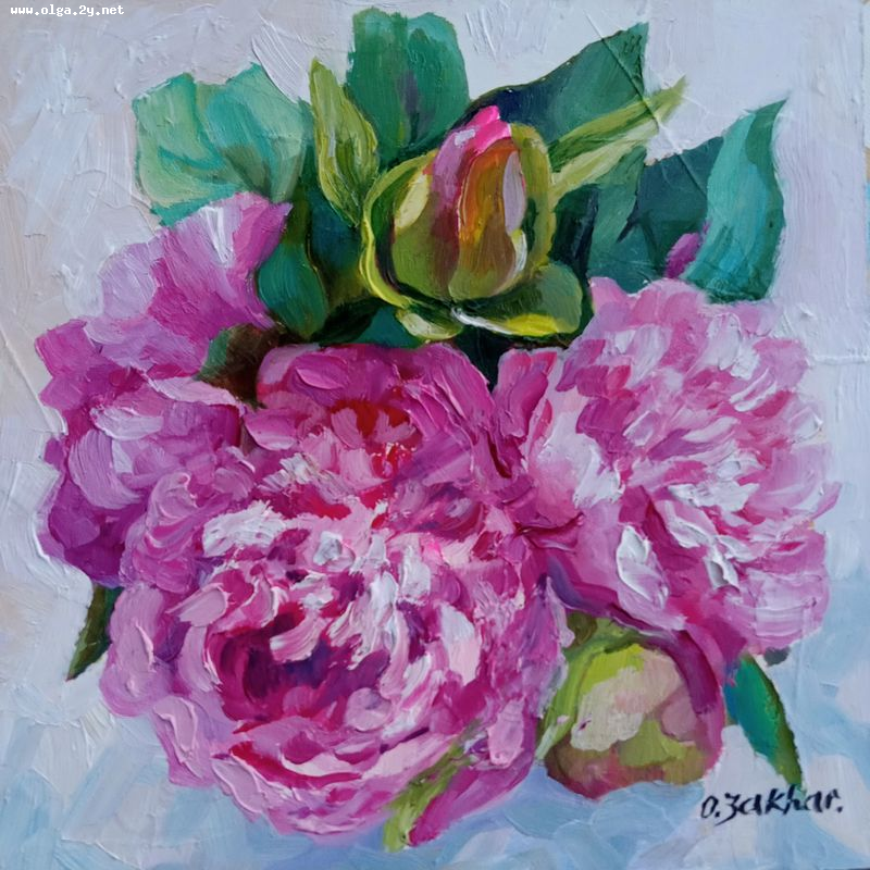 Purple Peony