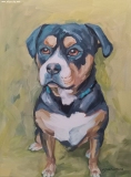 Olga Zakharova Art - Animals - Shrek