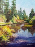 Olga Zakharova Art - Landscape - Lake in the Central Park